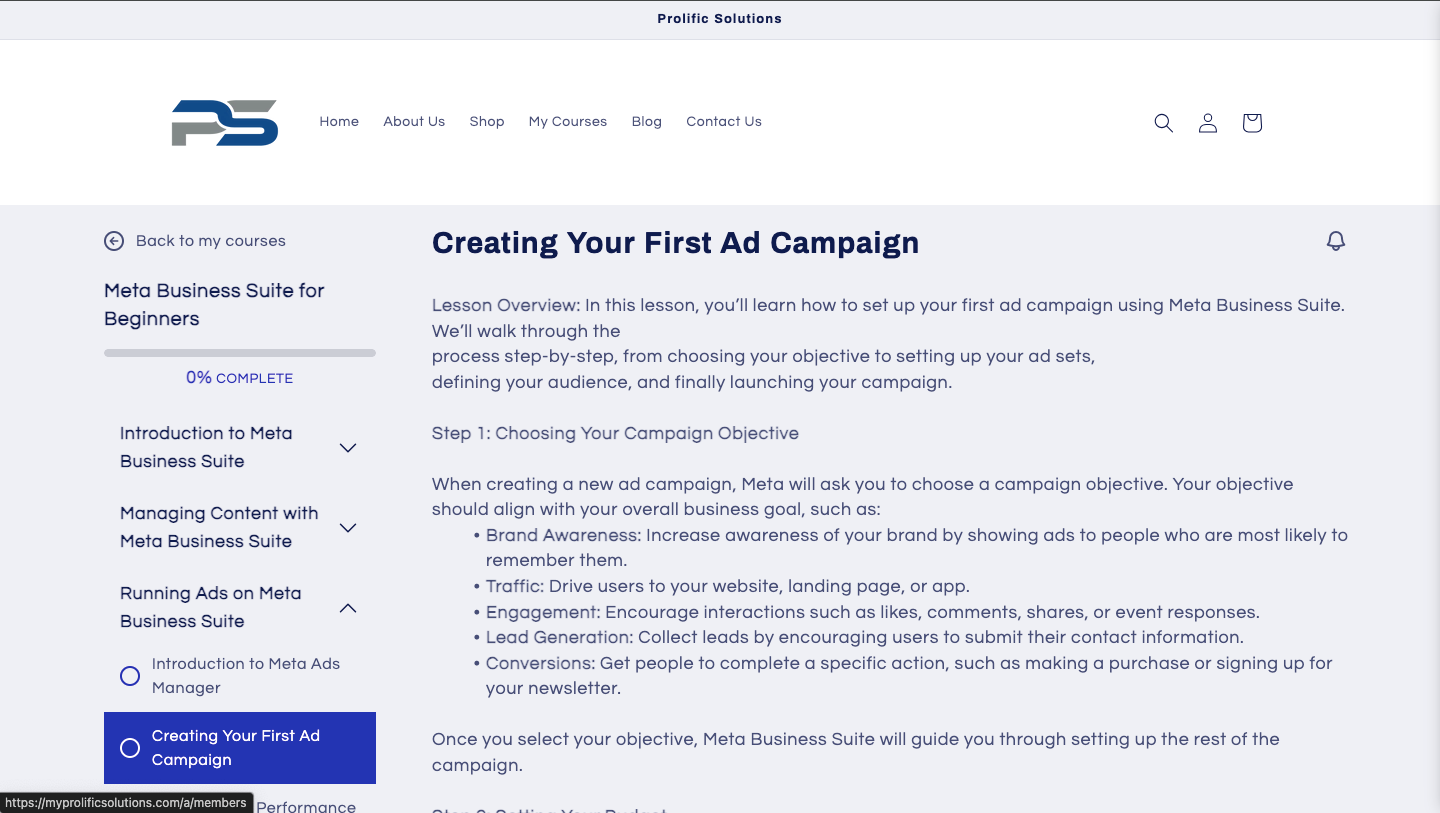 Meta Business Suite for Beginners: Master Social Media Management & Advertising (Course)